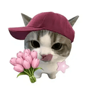 ILY