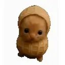 Nutcat