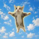 HAPPYCAT