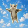 HAPPYCAT