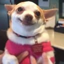 SMILEY