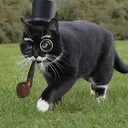 DAPPERCAT