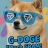 G-DOGE