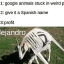 Alejandro