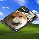 (D:)