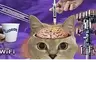 psyopcat