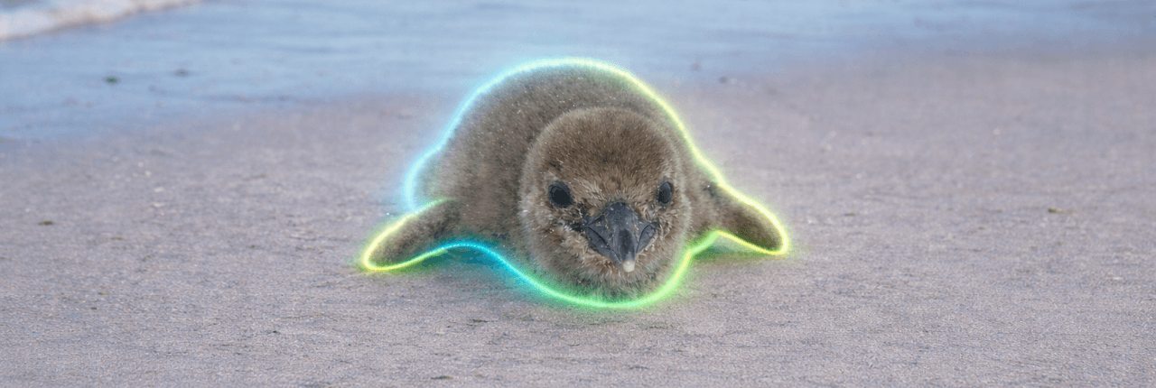 The Jupiter Penguin Banner