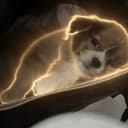 UNHROC