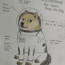 ASTRODOGE