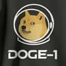DOGE-1