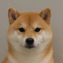 Inu