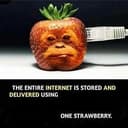 STRAWBERRY