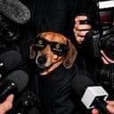 famousedog