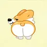 CORGILIFE