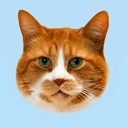 WHISKERS