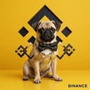 Cashdog