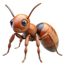 ANT