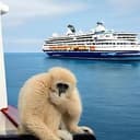 MONKEY⁠