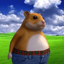 HIMSTER