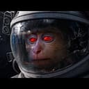 Space Monk