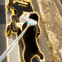 ノクト