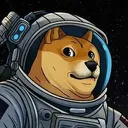 DOGE1
