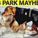 mayhem
