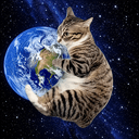 spinningcat