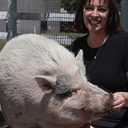 waddles