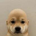 wifout