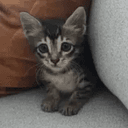 [invalid]