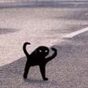 Cursed cat