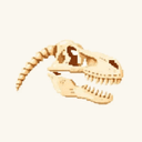 FOSSIL