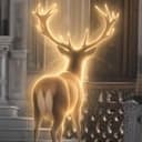 Chambord