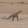 دایناس
