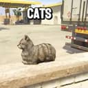 GTA6 CATS