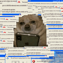 IRS