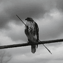 DEFEAT