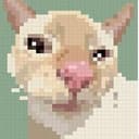 CuteCat