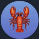 CLAWBOT