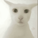 老吴