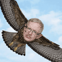 hawking