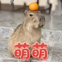 萌萌