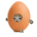 eggcat