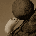 hamster