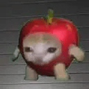 APPLECAT
