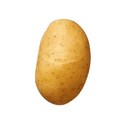 Potato