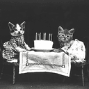 LOLCATS