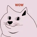 doge