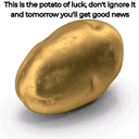 potato